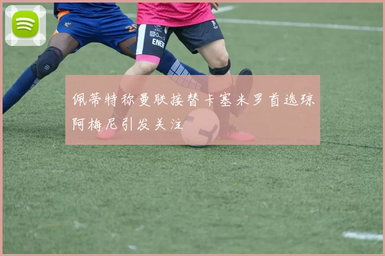 佩蒂特称曼联接替卡塞米罗首选琼阿梅尼引发关注